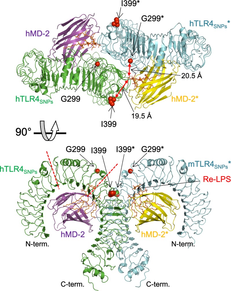 FIGURE 2.