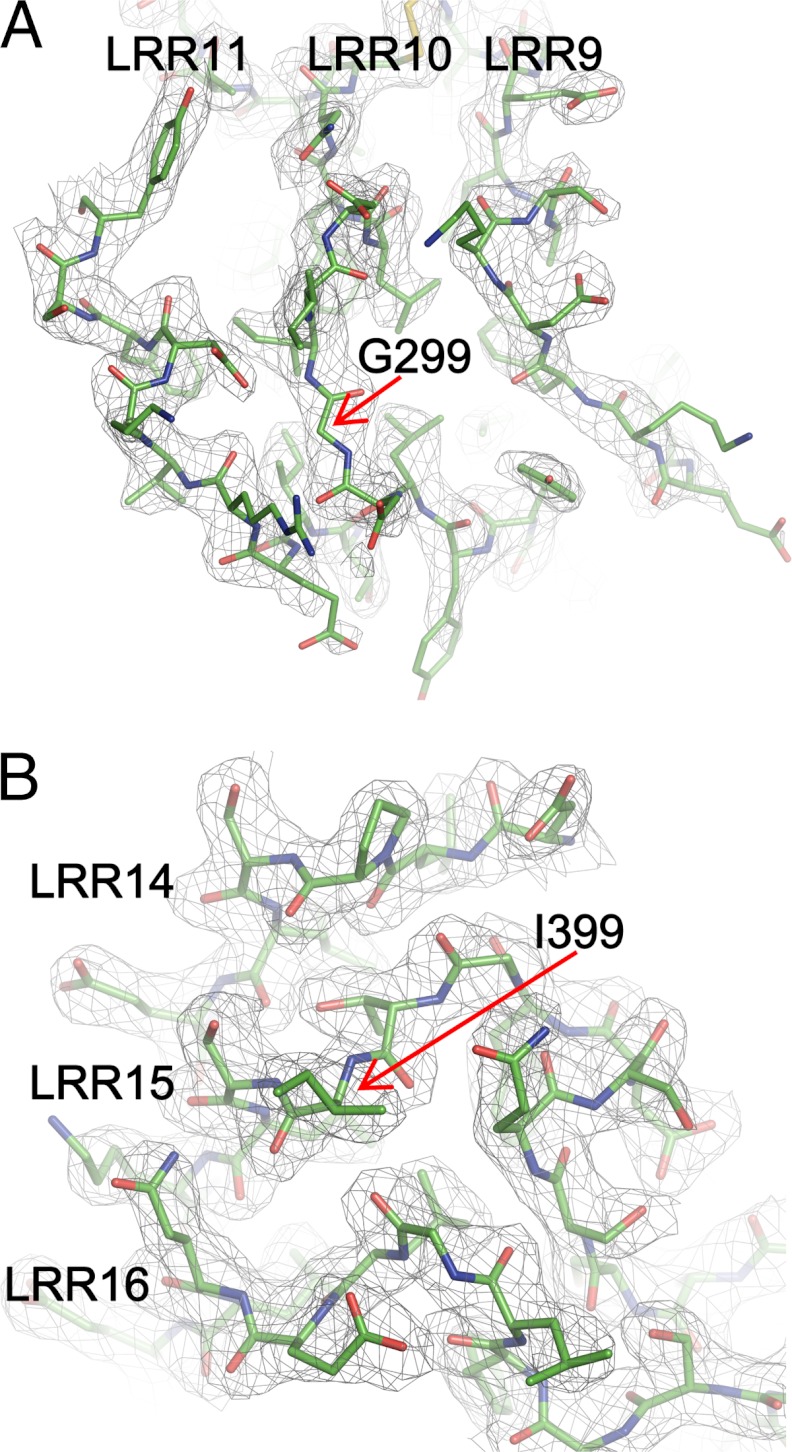 FIGURE 4.