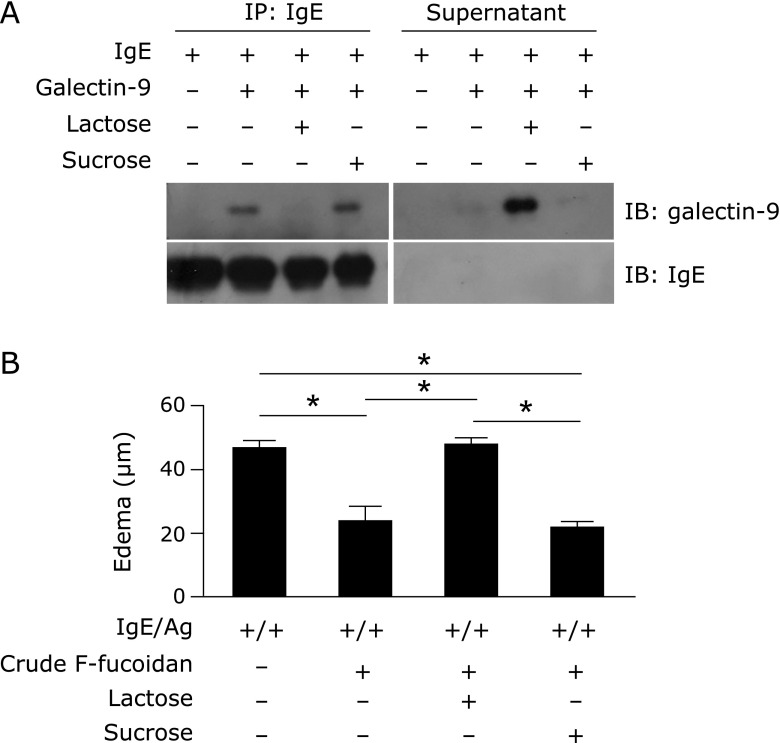 Fig. 5