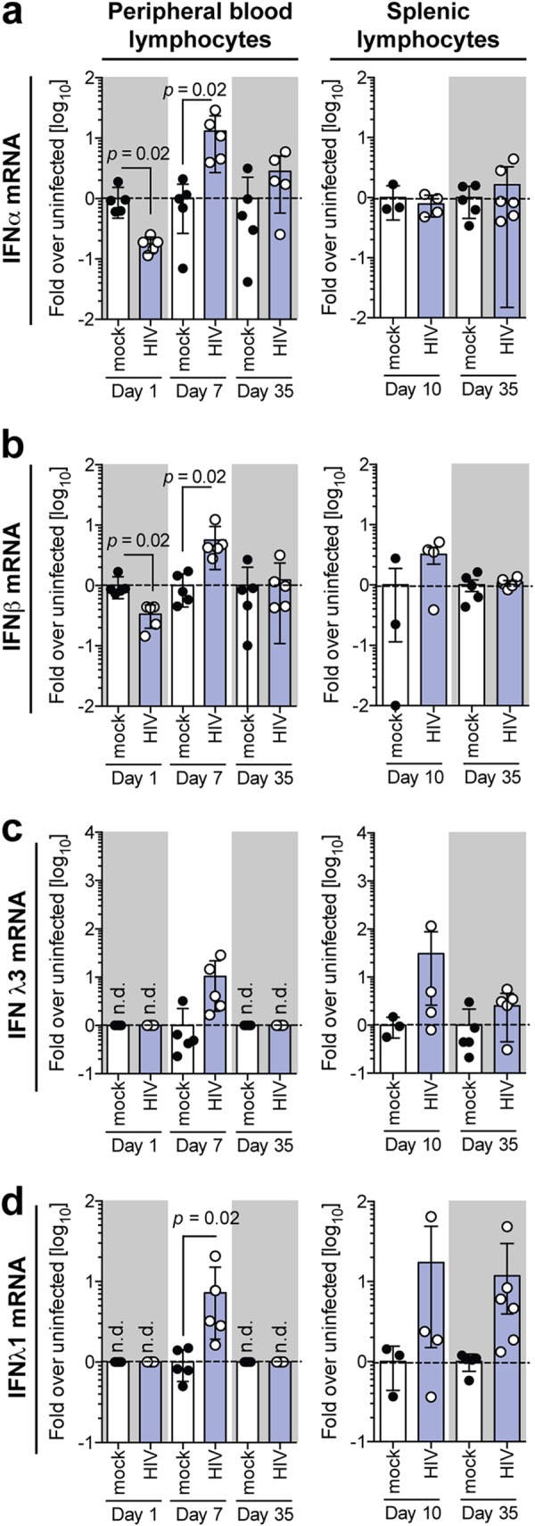 FIG 3