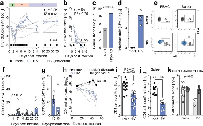 FIG 2