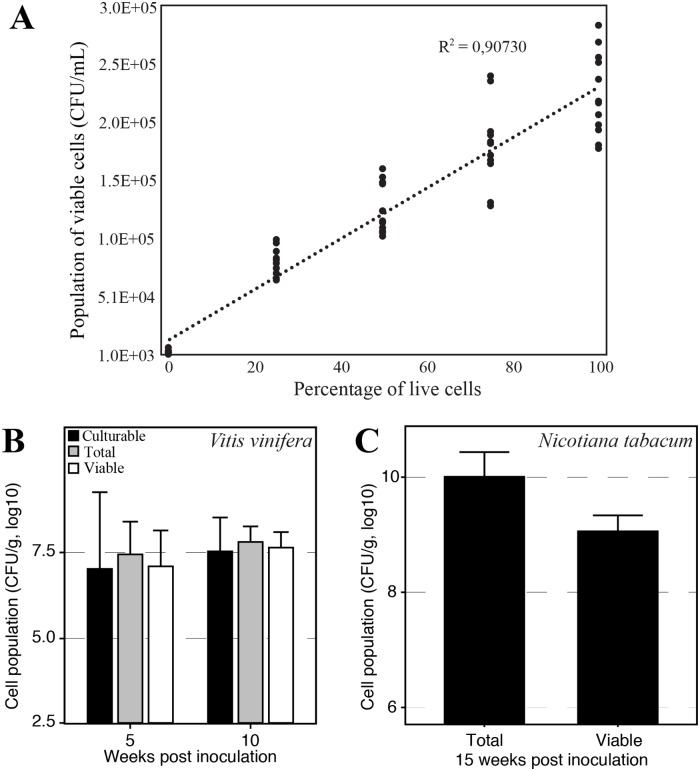 Fig 4