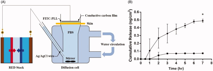 Figure 6.