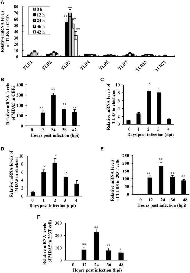 Figure 4