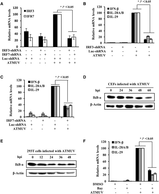 Figure 7