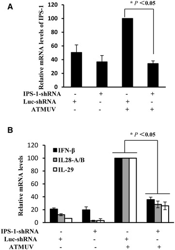 Figure 6