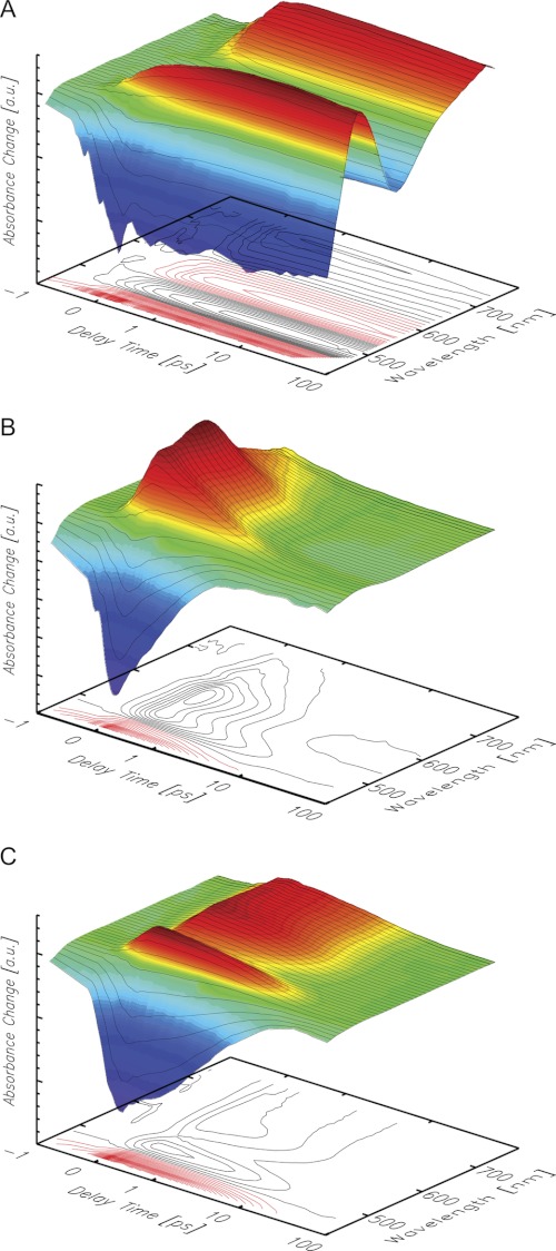 FIGURE 3.