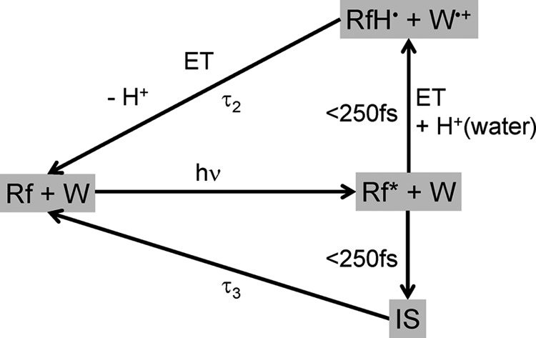 FIGURE 8.