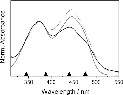 FIGURE 2.