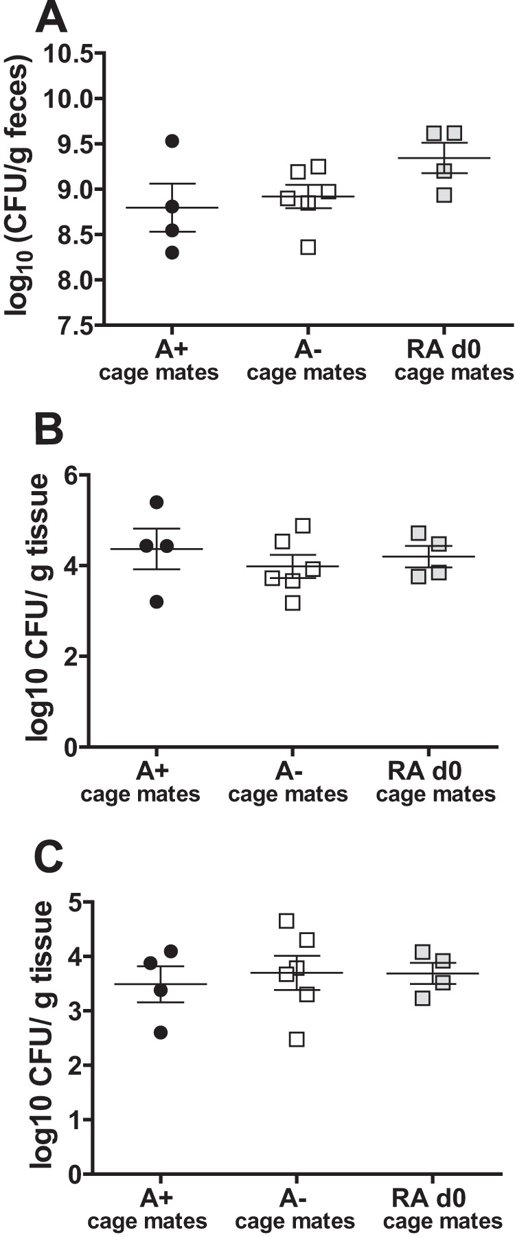 FIG 6