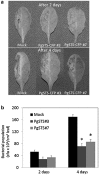 Fig. 9