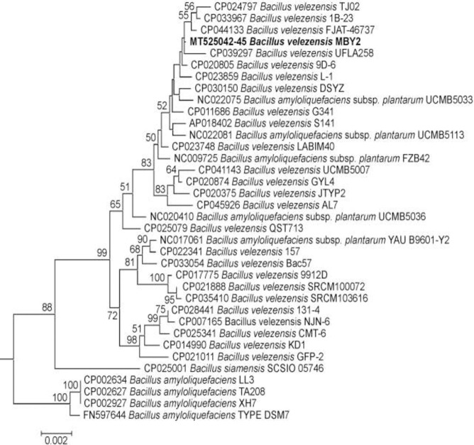 Fig 2