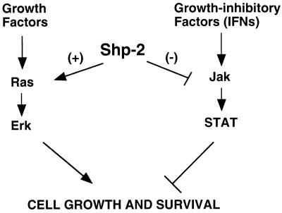 FIG. 8