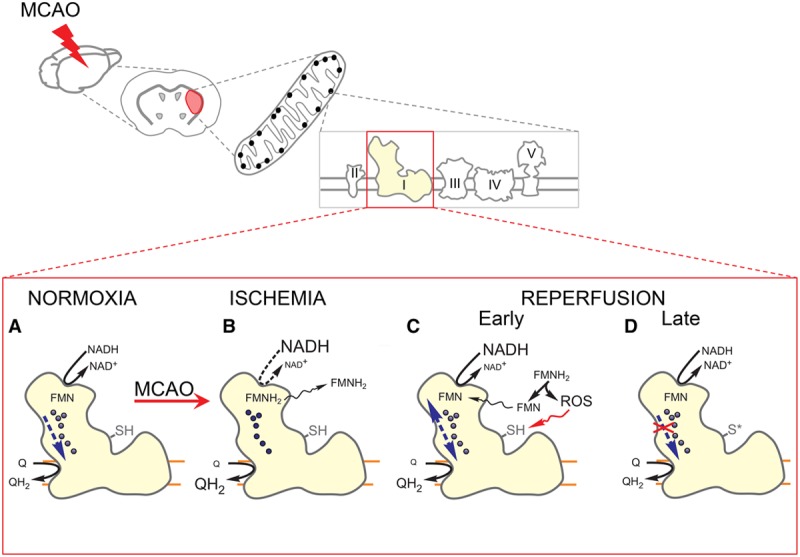 Figure 6.