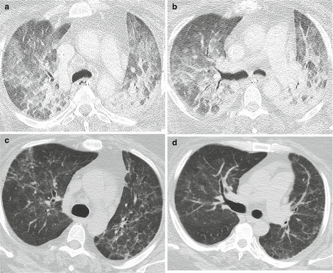 Fig. 7