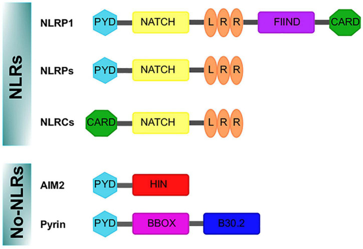 FIGURE 1