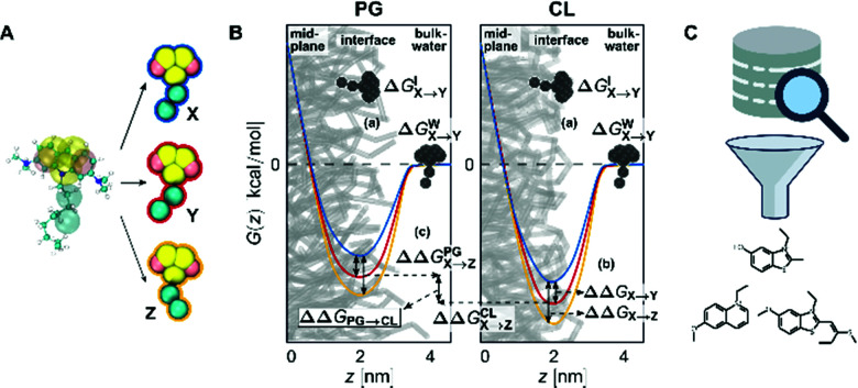 Fig. 8