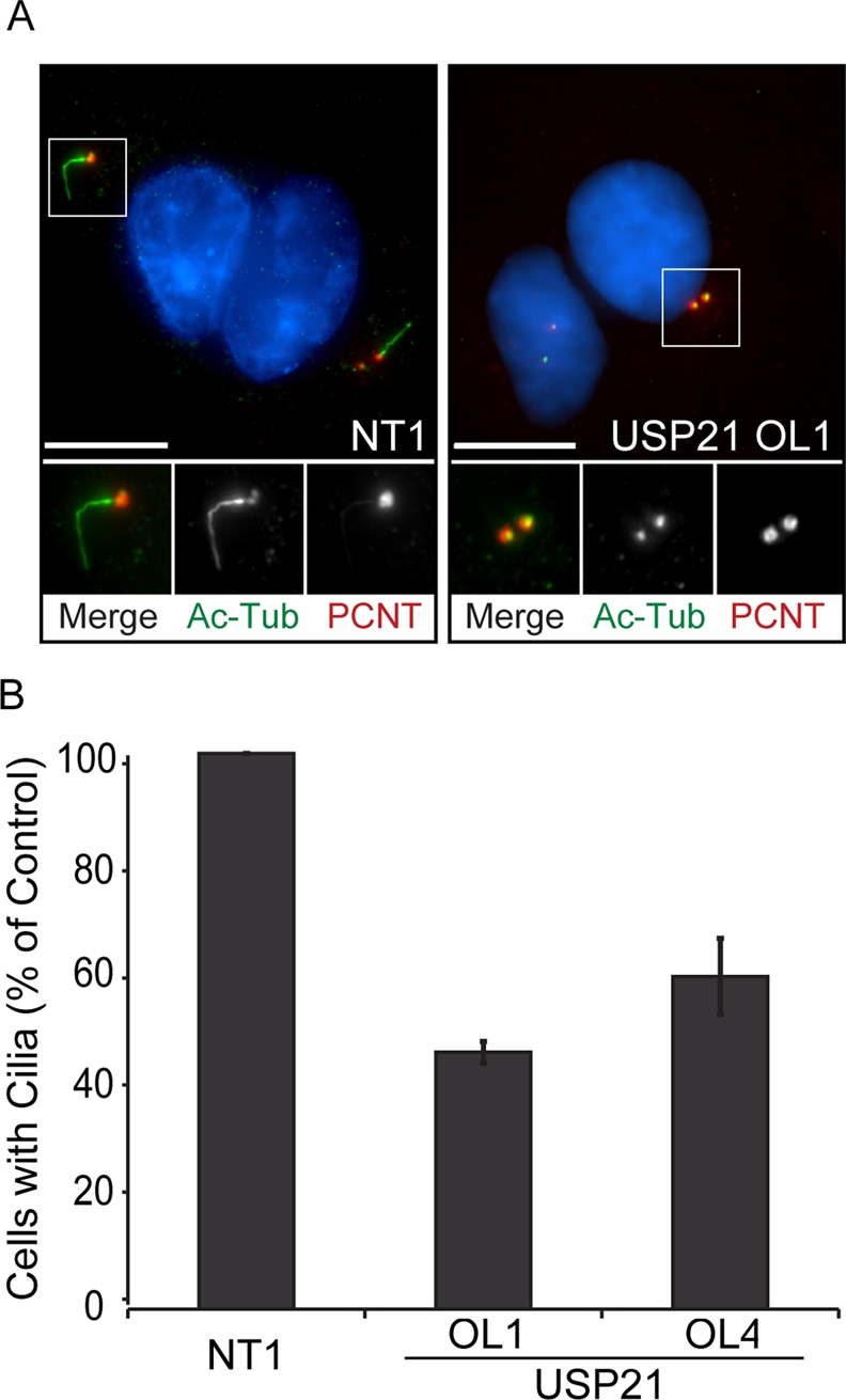 FIGURE 7: