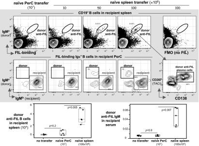 Fig. 4.