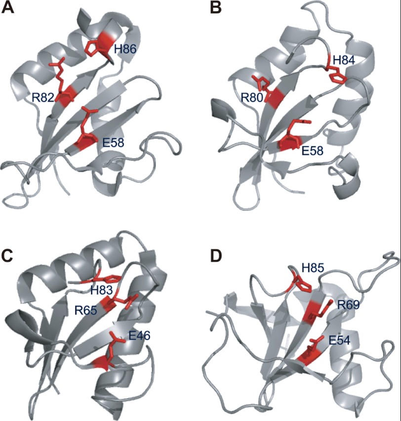 FIGURE 9.