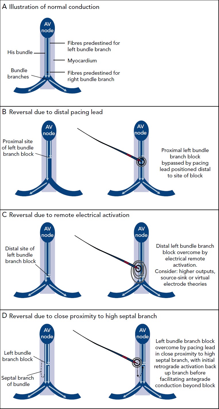 Figure 4: