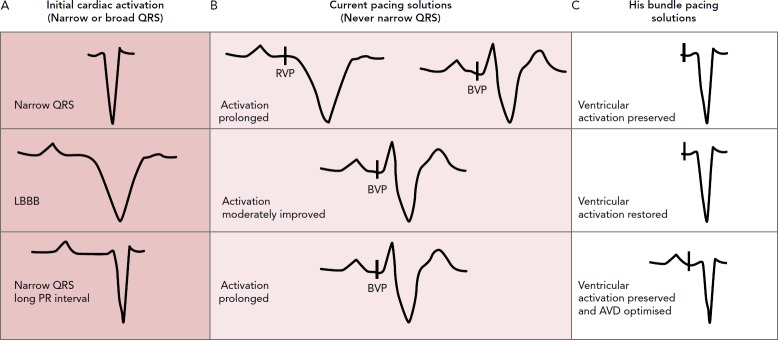 Figure 2: