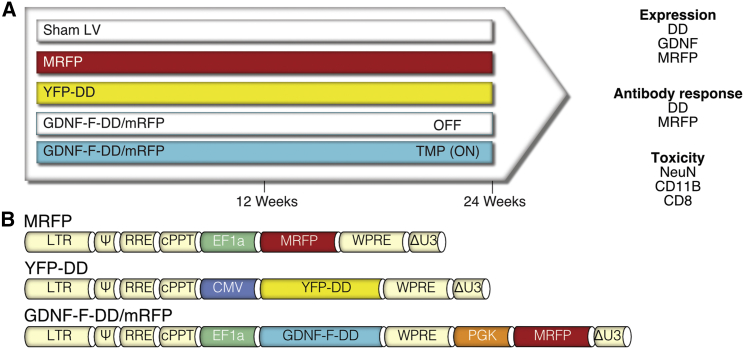 Figure 2