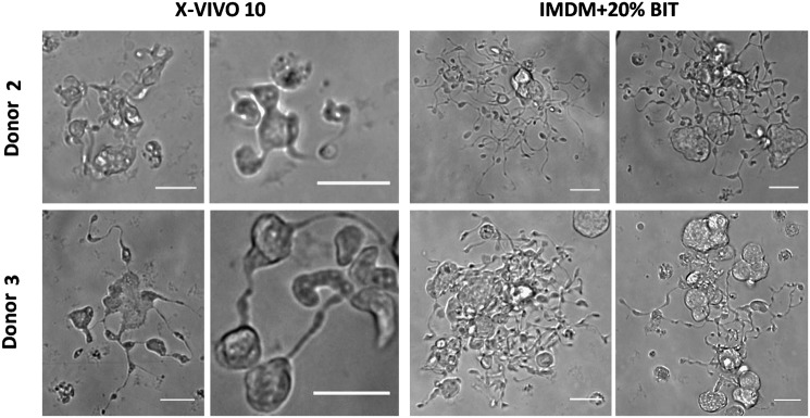 FIG. 6.