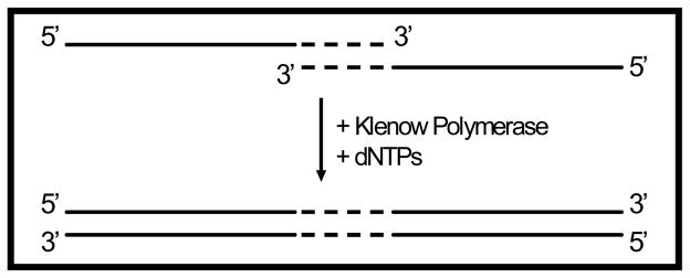 Fig. (3)