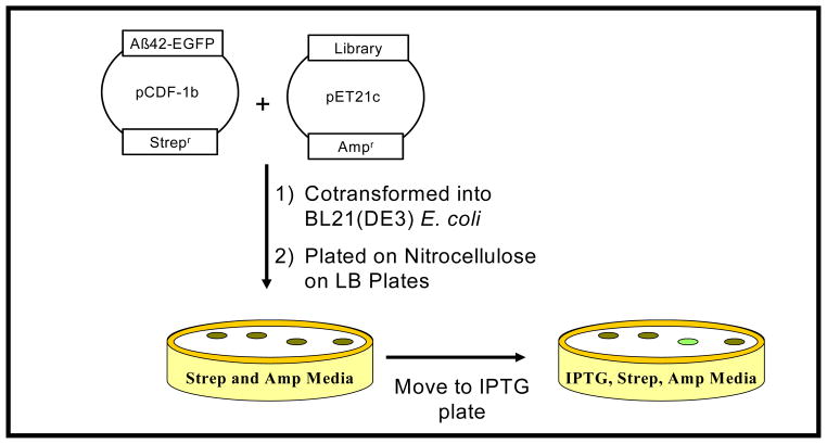 Fig. (4)