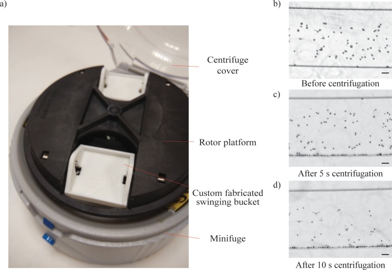 FIG. 4.