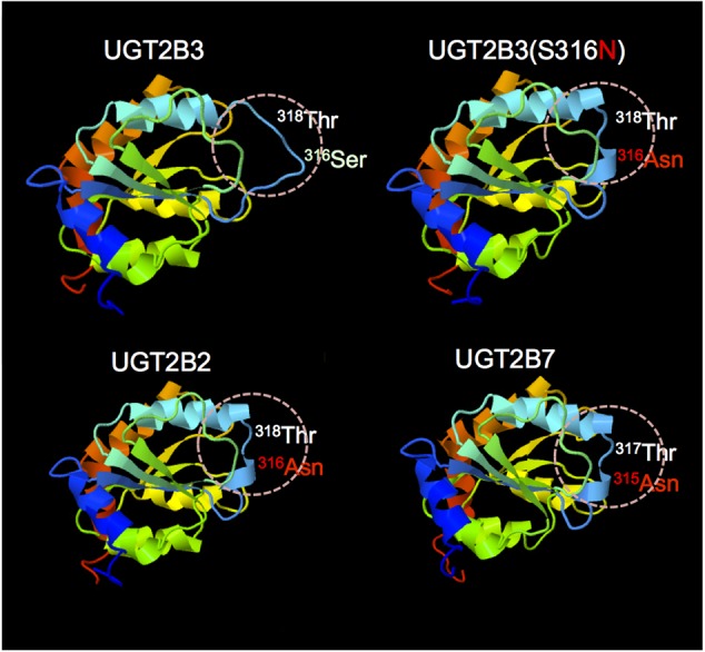 FIGURE 6