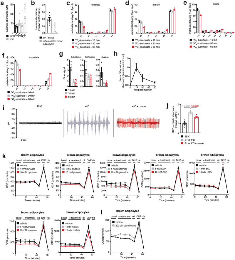 Extended Data Figure 4: