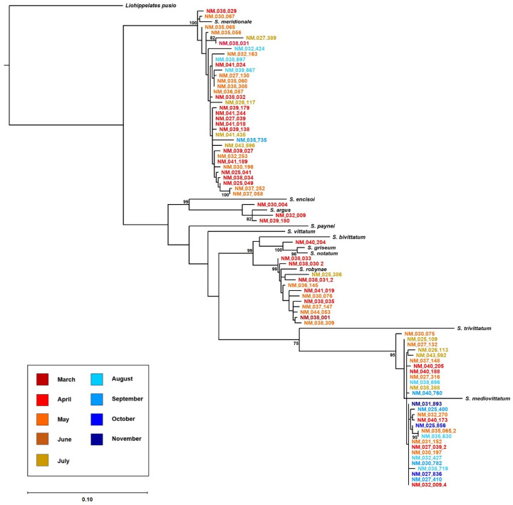 Figure 4