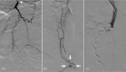 Fig 4: