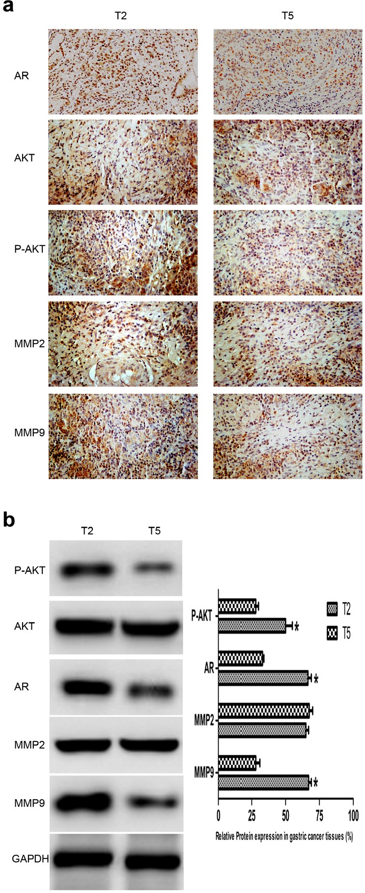 Fig.1