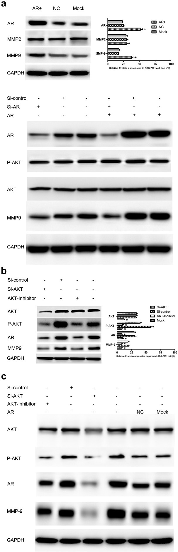 Fig.3