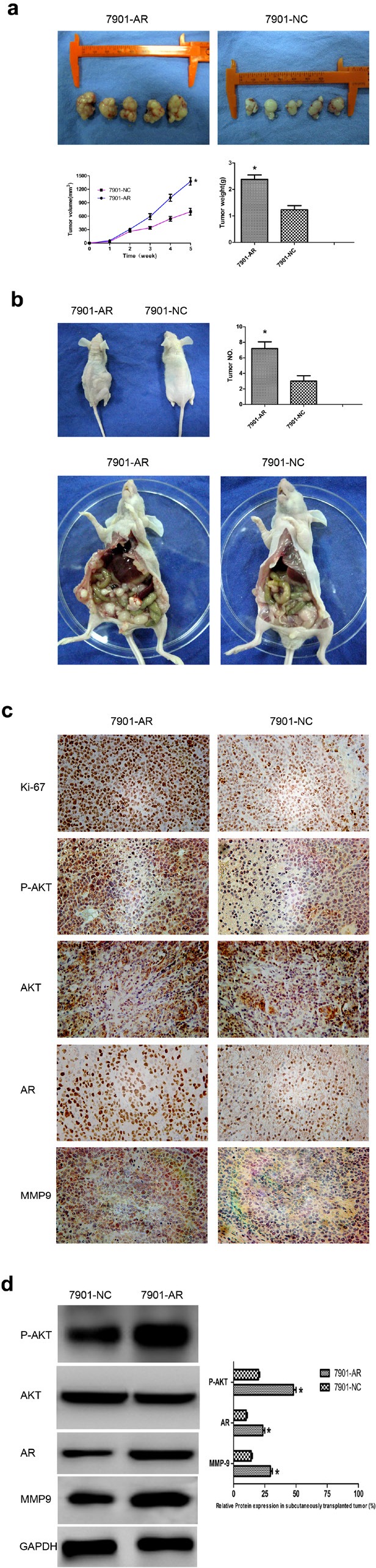 Fig.6