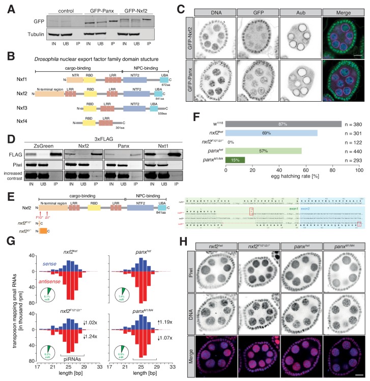 Figure 1—figure supplement 1.