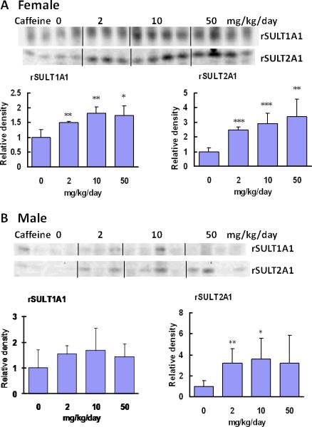 Figure. 3