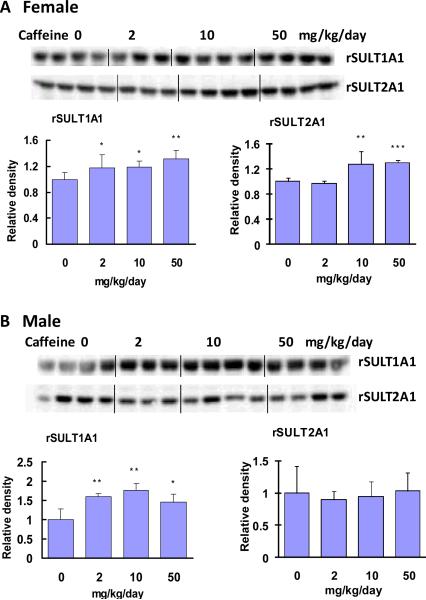 Figure. 1