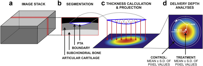 Fig. 3