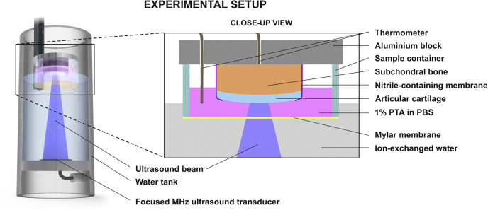 Fig. 2