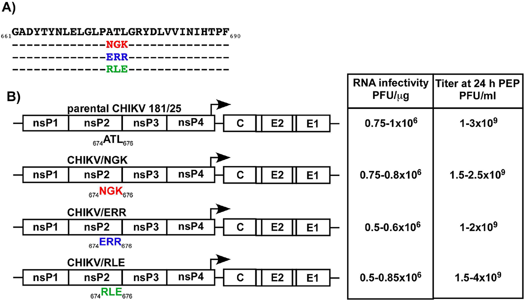 FIG. 1.