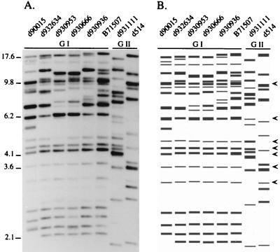 FIG. 8