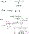 Scheme 2.
