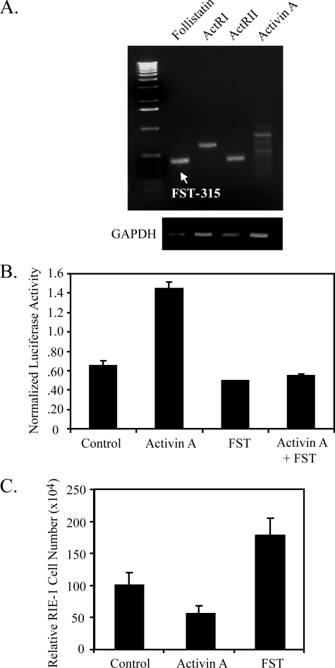 FIGURE 2.