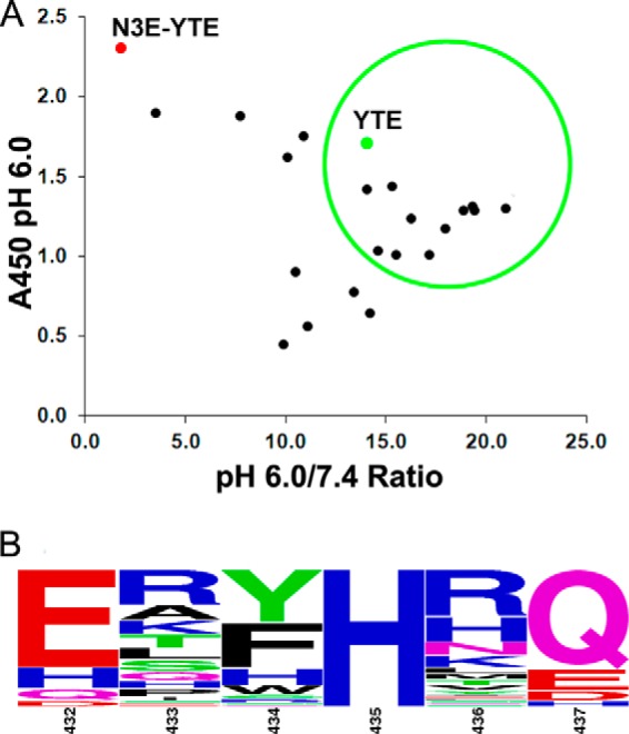 FIGURE 3.