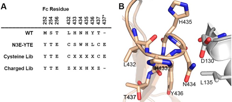 FIGURE 1.