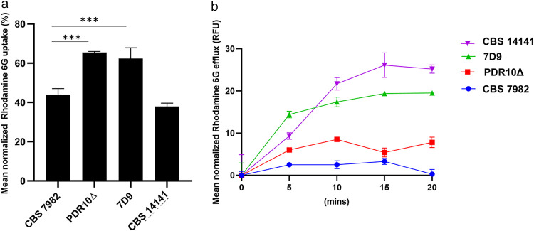 FIG 6